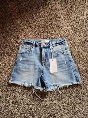 Frayed Hem Light Blue Denim High-Rise Women's Shorts